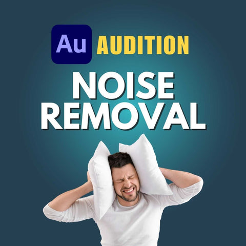 Noise Reduction Presets cover