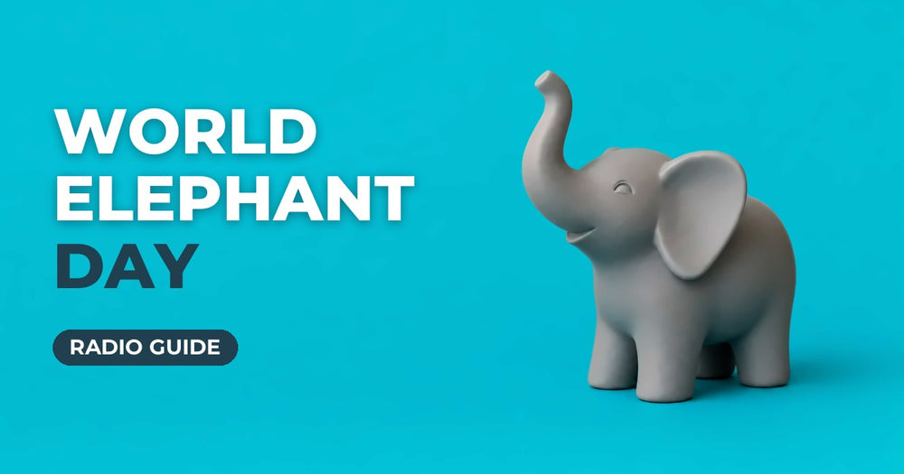 World Elephant Day blog cover: grey ceramic elephant figurine on a turquoise background