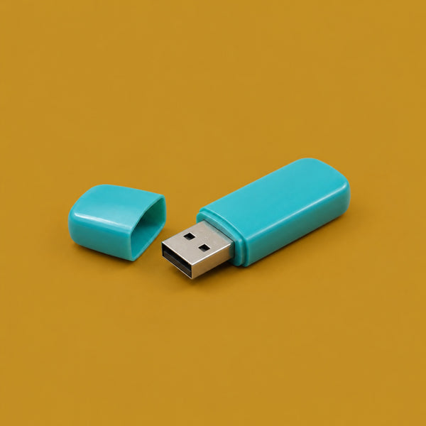 USB flash drive, instant downloads