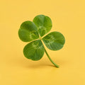 Luck Of The Irish cover art