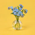 Forget Me Not cover art