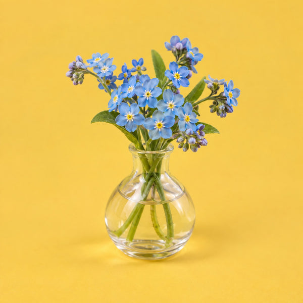 Forget Me Not - royalty free electronic music track, forget-me-nots cover art by Music Radio Creative