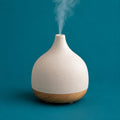Mist And Zen cover art