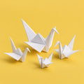 Big Migration cover art