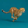 Fast and Fearce cover art