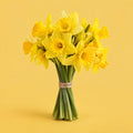 Ideal Optimism cover art