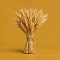 Harvest Day cover art