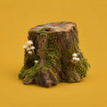Forest Beat cover art