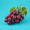 Fruit of Success cover art