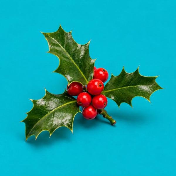 Deck The Halls - royalty free Christmas music track, holly sprig cover art by Music Radio Creative