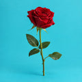 Slow Rnb cover art