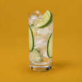 Gin and Tonic cover art