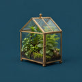 Glass Roof cover art