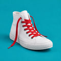 Lost Shoe Lace cover art
