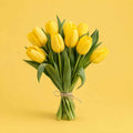 Spring Claps cover art