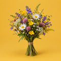 Dance Meadow cover art