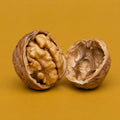 Open Mind cover art