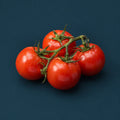 Salsa All The Way cover art