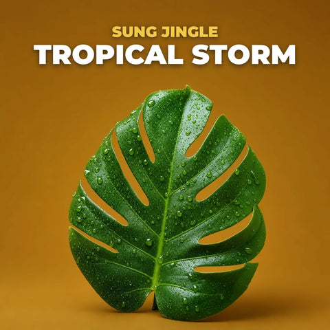 MRC Tropical Storm