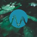 After The Rain cover art