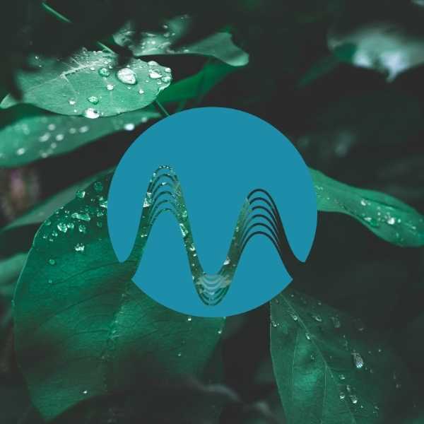 After The Rain - music catalogue - Music Radio Creative