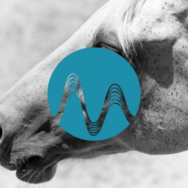 Alluring Beat - music catalogue - Music Radio Creative