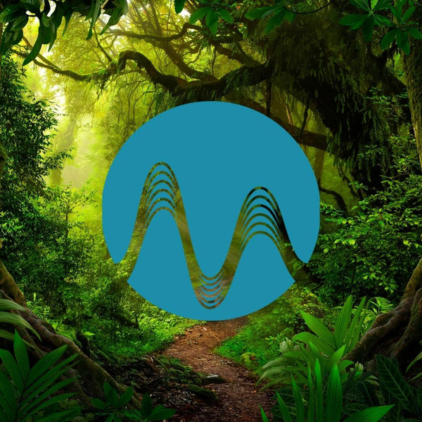 Bengali Woods - music catalogue - Music Radio Creative