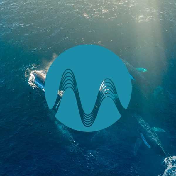 Big Migration - music catalogue - Music Radio Creative