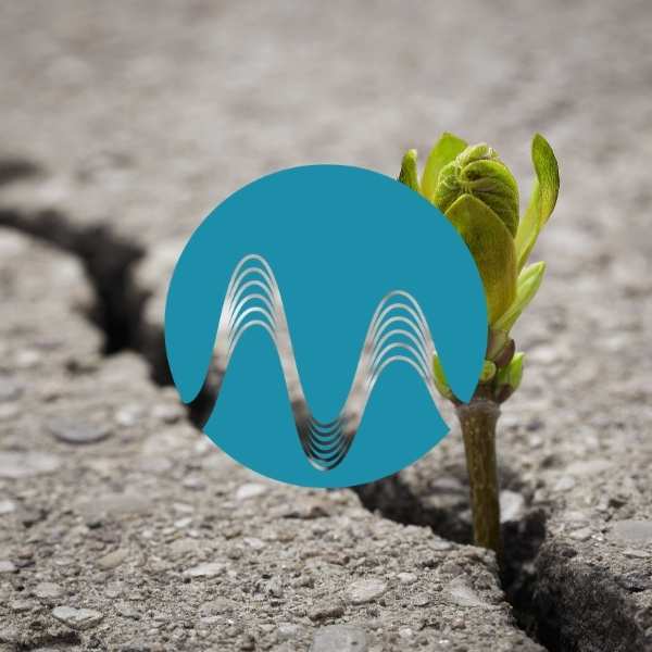 Bring Me Hope - music catalogue - Music Radio Creative