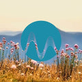 Country Mornings cover art