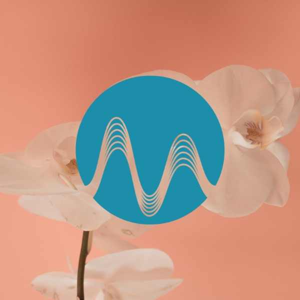 Eldan Castle - music catalogue - Music Radio Creative