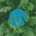 Forest Beat cover art