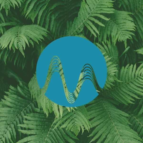 Forest Beat - music catalogue - Music Radio Creative