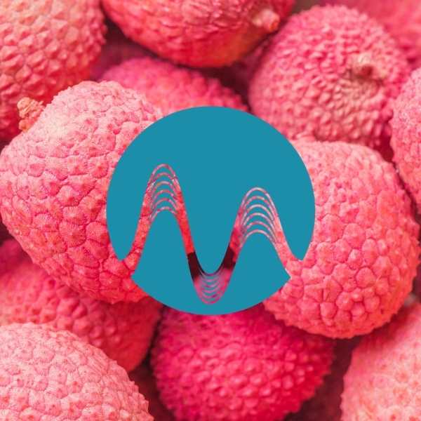 Fruit of Success - music catalogue - Music Radio Creative