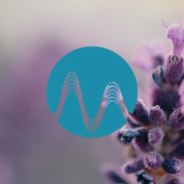 Gentle Spark - music catalogue - Music Radio Creative