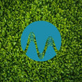 Green Economy cover art