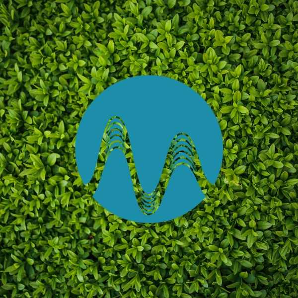 Green Economy - music catalogue - Music Radio Creative