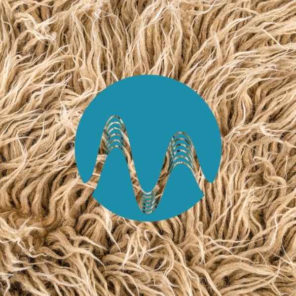 Hairy Day - music catalogue - Music Radio Creative