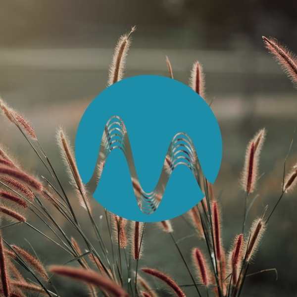 Harvest Day - music catalogue - Music Radio Creative