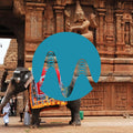 Hope of India cover art