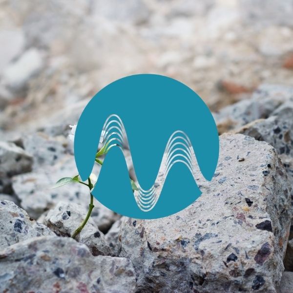 Hopeful Blossom - music catalogue - Music Radio Creative