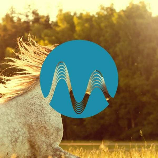 Horse Race - music catalogue - Music Radio Creative