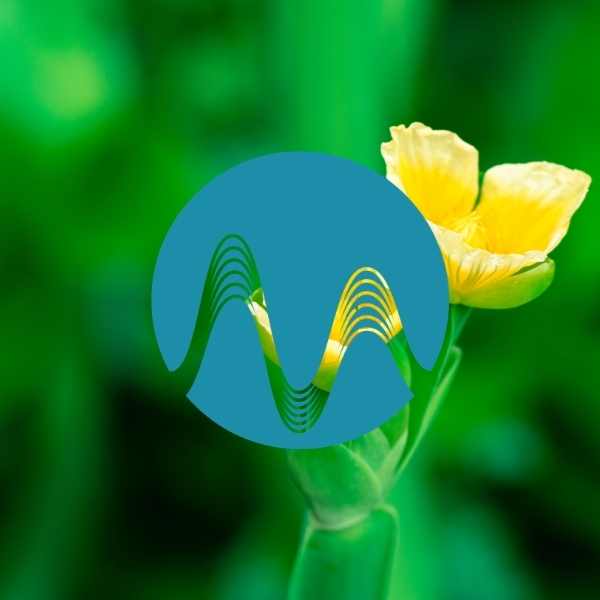 Indie Happy - music catalogue - Music Radio Creative