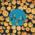 Inspiration Log cover art