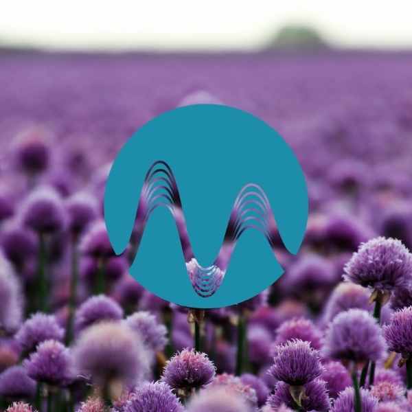Joy is Here - music catalogue - Music Radio Creative