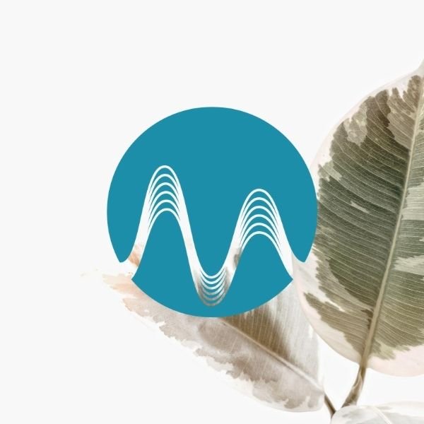 Leaf Dropping - music catalogue - Music Radio Creative