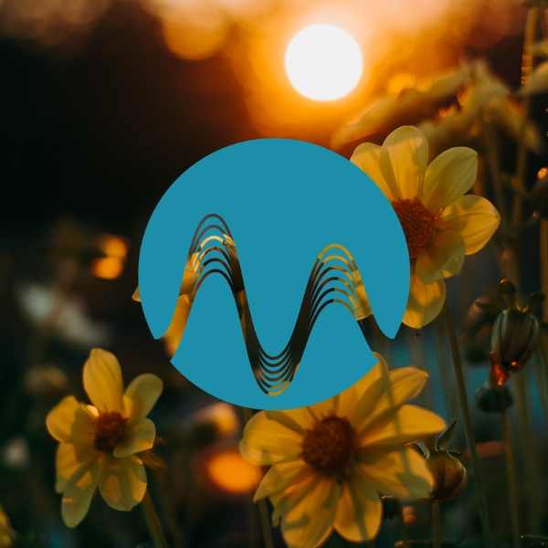 Lights of Hope - music catalogue - Music Radio Creative