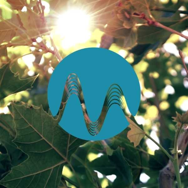 Loose Yourself - music catalogue - Music Radio Creative