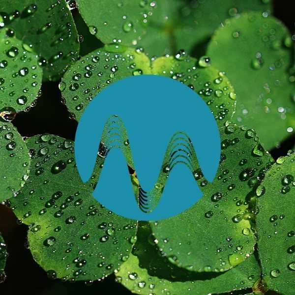 Luck of The Irish - music catalogue - Music Radio Creative