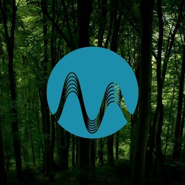 Mad Chase - music catalogue - Music Radio Creative